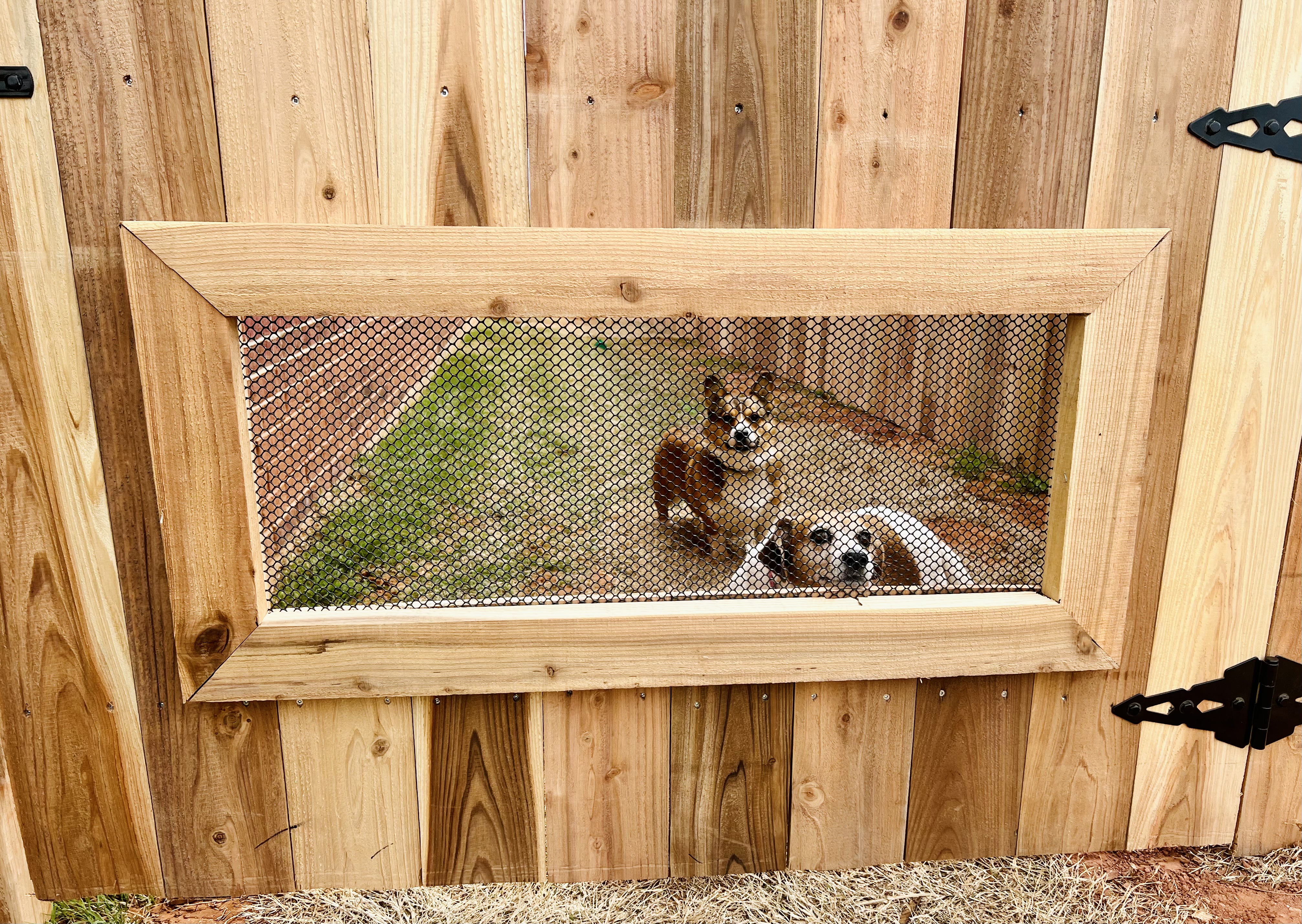 Perfectly Crafted, customized fence installation in Midwest City! Complete with a personalized dog window, and stain/seal.